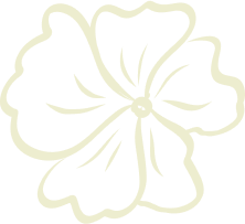 Illustration d'une fleur stylisée beige sur fond transparent