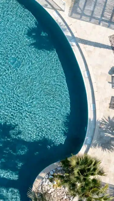 Piscine extérieure avec transats et palmiers.