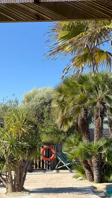 Jardin ensoleillé avec palmiers et bouée.